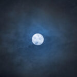 Full Moon in the Night Sky